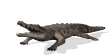 krokodilas animuoti-vaizdai-gif